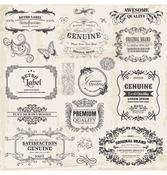 Calligraphic Design Elements and Page Decoration vector image