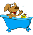 Dog bathing vector image