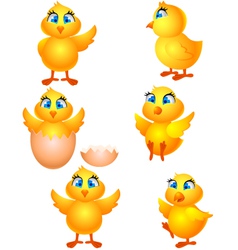Little group chicken cartoon vector image