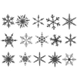 Snowflakes vector image