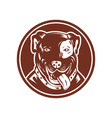 American Pit bull Terrier vector image