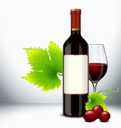 Red wine bottle vector image