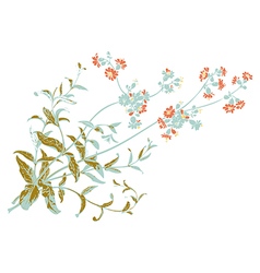 Botanical branches with flowers isolated herbal vector image