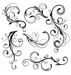 Floral elements vector image