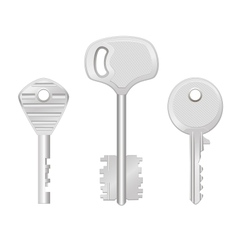 Door keys isolated on white background vector image