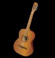 Acoustic guitar vector image