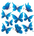 Set butterflies vector image