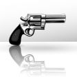 Gun vector image