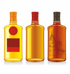 Whiskey bottles vector image