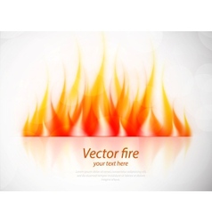 Fire vector image