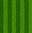 Seamless green grass field vector image