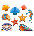 Seashell set vector image