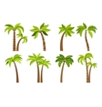 Palm trees isolated on white vector image
