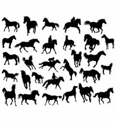 Horses silhouettes vector image