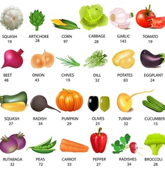 Vegetables calories table vector image