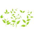 Green branches vector image