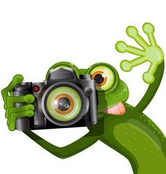 Frog with a camera vector image