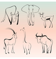 Wild animal sketches vector image