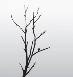 Tree and bird vector image