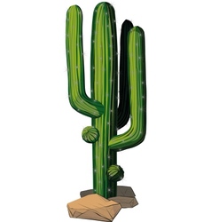 Cactus vector image