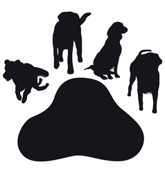 Dog paw vector image