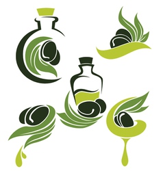 Green olive leaves bottles and oil vector image