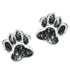 Dog paw vector image