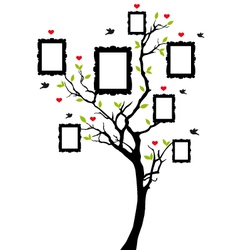 Family tree with picture frames vector image
