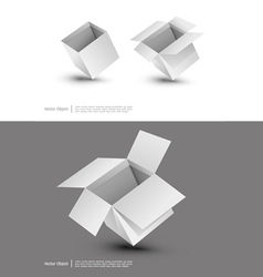 Blank cardboard box vector image