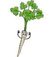 Cute parsley root vegetable cartoon vector image