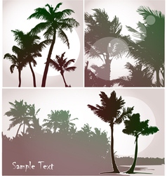 Palms vector image