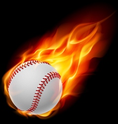 Baseball on fire vector image