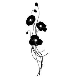 Floral element vector image