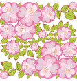 Square flower pattern vector image