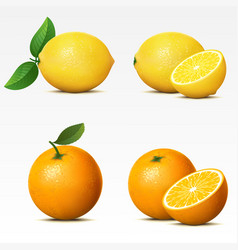 Collection of fruits vector image