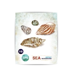 Vintage marine background with seashells Vintage marine background with seashells vector image