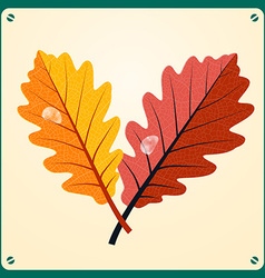 Oak Leaves - Oak Leaf with Rain Drop on Retr vector image