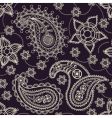 Paisley seamless pattern vector image