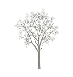 Icon tree vector image