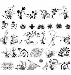 Floral elements Floral elements vector image