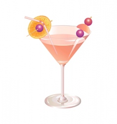 Cocktail drink vector image