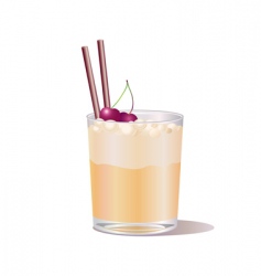 Whiskey drink vector image