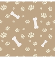 Background with dog paw print and bone vector image