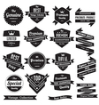 Set of retro vintage badges and labels vector image