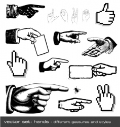 hands vector image