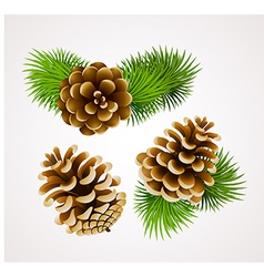 Cones vector image