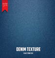 Jeans texture 2 vector image