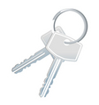 Two keys vector image