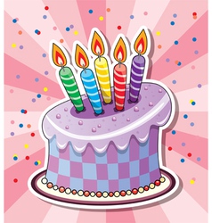 Birthday cake with candles vector image
