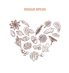 Hand drawn indian spices concept vector image
